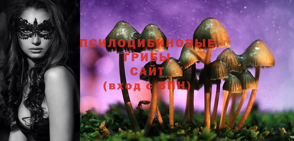 марки lsd Нея