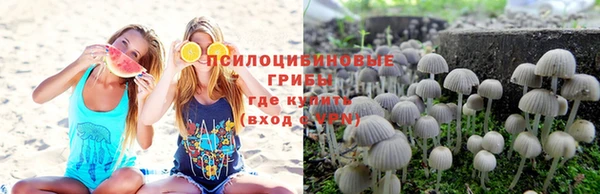 МДПВ Арсеньев