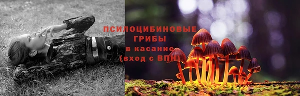 прущая мука Нефтекумск